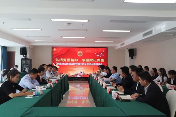 座谈会合照_副本.jpg