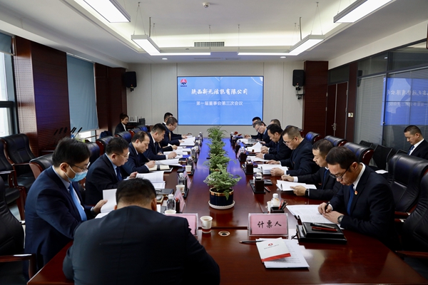 图片-新元公司召开第一届董事会第三次会议.jpg