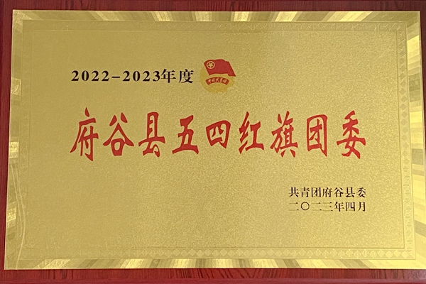 五四红旗.JPG