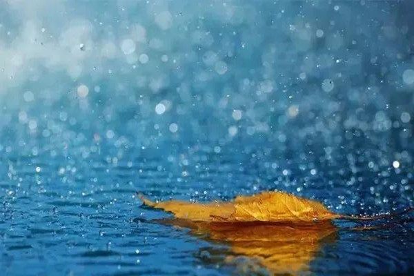 听雨.jpg
