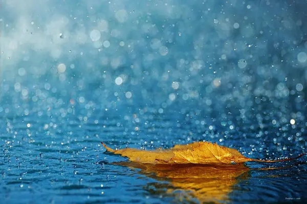 夏雨.jpg
