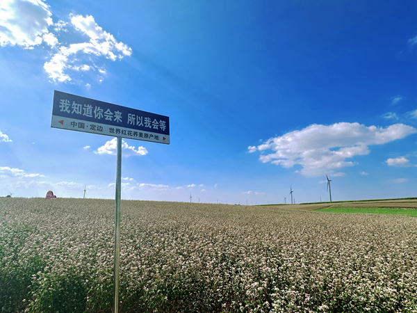 ea7c6bc0442d42bdfd2f822d74d46fb_副本.jpg