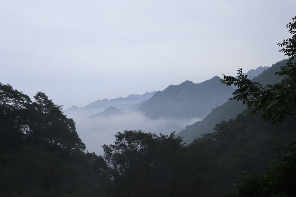 13de1aad9c48909a710f40a0f32bf8d_副本.jpg