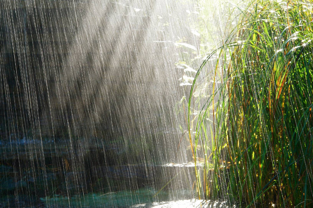 wallhaven-d5ggy3_1000x666.png