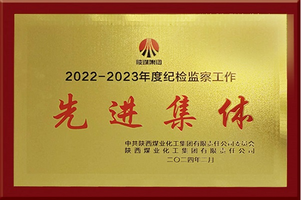 新元公司先进集体.png