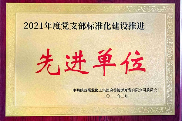 党支部标准化先进单位.jpg