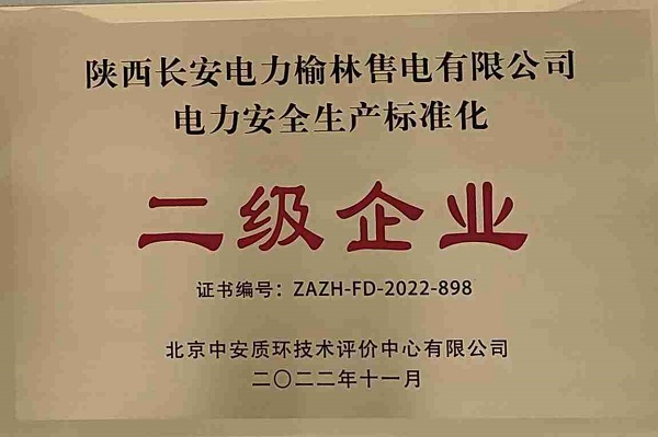 2022年11月，获评电力安全生产标准化二级企业.jpg