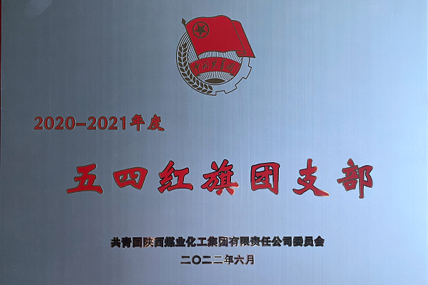 集团五四红旗团支部.png