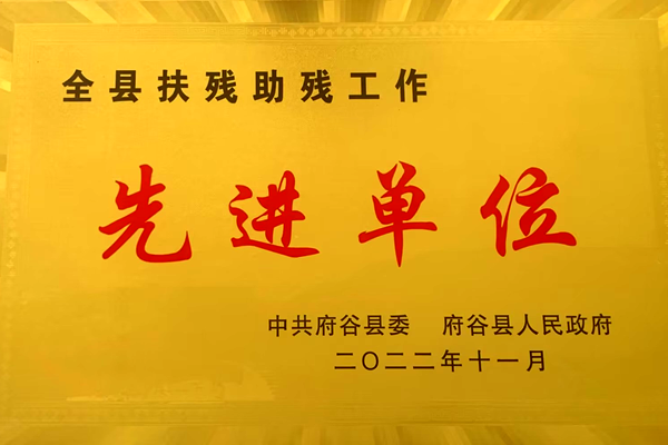 扶残助残.png