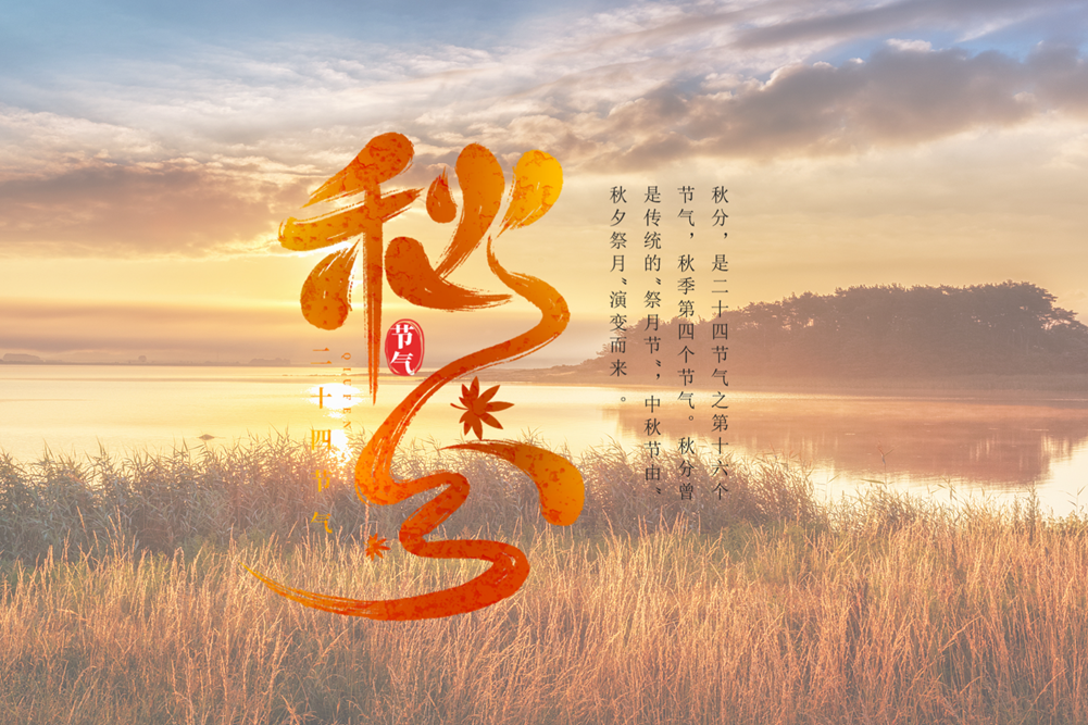 512b56b2175546cfe09c5157e87f74a_副本.png