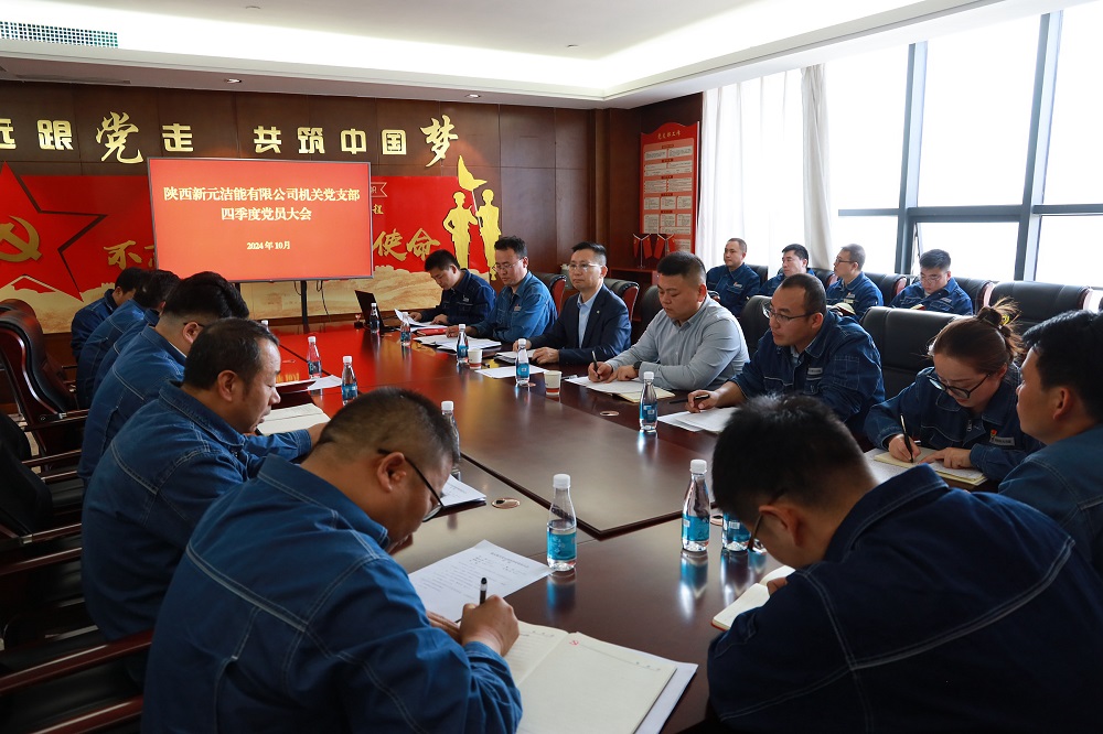 王书记参加新元公司机关党支部党员大会.JPG