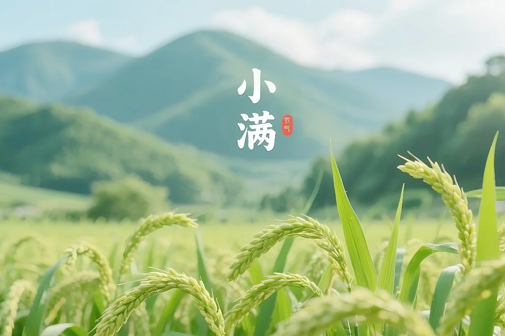 小满.png