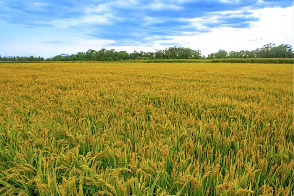 211761006518428397.jpeg 3ed74453f088471e01eec771da293285_副本.jpg