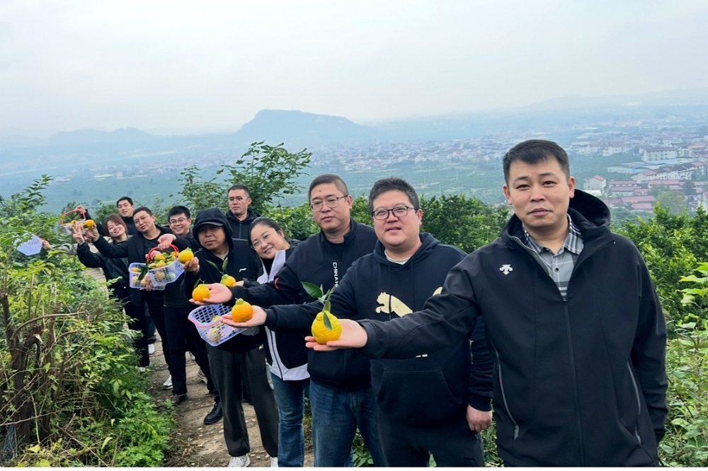 271761558492421437.jpeg 图3.jpeg