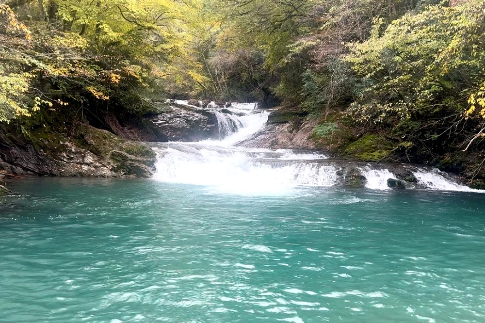 271761558533535977.jpeg 图2.jpeg