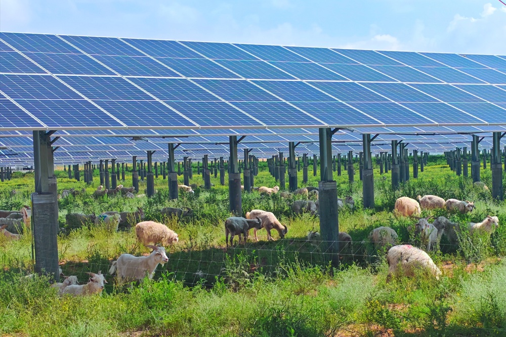 301761786391574223.jpeg 8.jpg